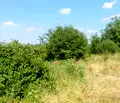 Снимка 3 — Парцел във Велико Търново, с. Шереметя