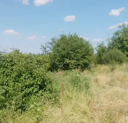 Photo 3 — Plot in Oblast Veliko Tyrnovo, Sheremetya