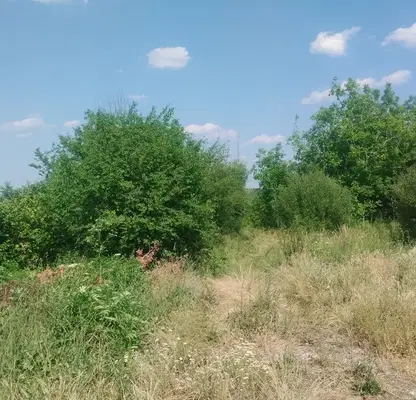 Photo 4 — Plot in Oblast Veliko Tyrnovo, Sheremetya