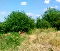 Снимка 5 — Парцел във Велико Търново, с. Шереметя