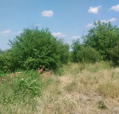 Photo 5 — Plot in Oblast Veliko Tyrnovo, Sheremetya