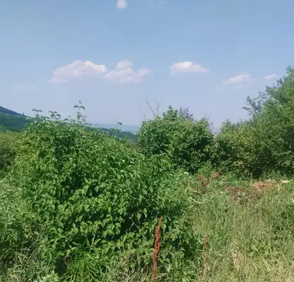 Photo 5 — Plot in Veliko Tyrnovo, Sheremetya