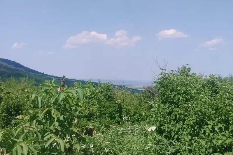 Plot in Oblast Veliko Tyrnovo, Sheremetya