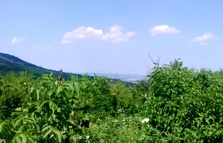 Парцел във Велико Търново, с. Шереметя