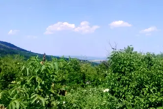 Парцел във Велико Търново, с. Шереметя