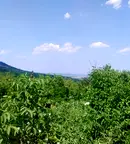 Парцел във Велико Търново, с. Шереметя