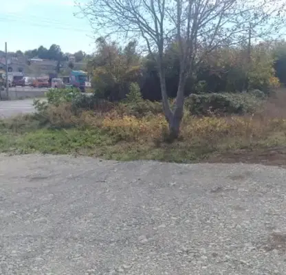 Photo 3 — Plot in Oblast Veliko Tyrnovo, Sheremetya