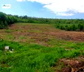 Снимка 2 — Парцел във Велико Търново, с. Шереметя