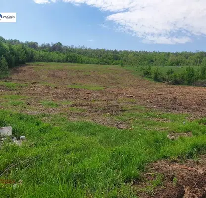 Photo 2 — Plot in Oblast Veliko Tyrnovo, Sheremetya