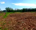 Снимка 3 — Парцел във Велико Търново, с. Шереметя
