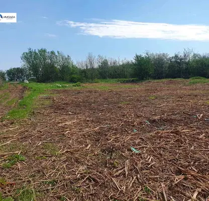 Photo 3 — Plot in Oblast Veliko Tyrnovo, Sheremetya