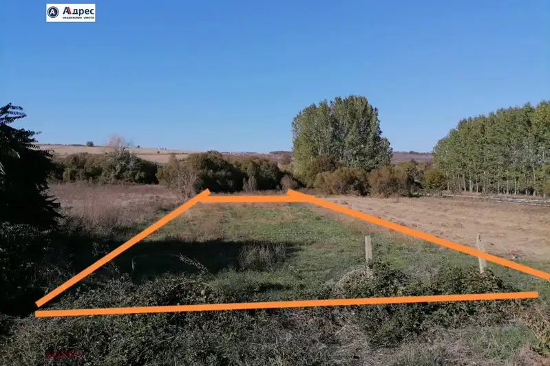 Plot in Oblast Vidin, с. Пешаково