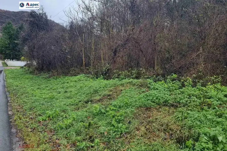Парцел във Видин, с. Синаговци