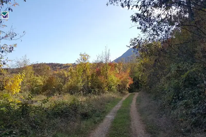 Plot in Oblast Vraca, Pavolche