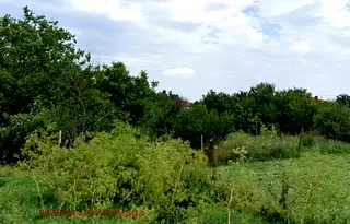 Парцел в Ямбол, с. Кабиле