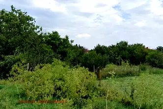 Парцел в Ямбол, с. Кабиле
