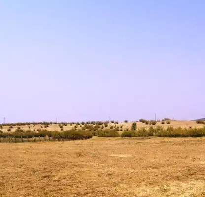 Photo 2 — Plot in Oblast Yambol, Meden Kladenec