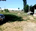 Снимка 4 — Промишлена сграда в Перник, Калкас