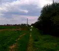 Снимка 5 — Промишлена сграда в Добрич, с. Безводица