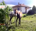 Снимка 5 — Промишлена сграда в Кърджали, с. Соколяне