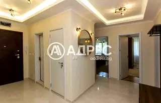Тристаен апартамент в София, Дървеница