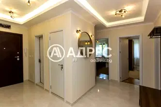 Тристаен апартамент в София, Дървеница