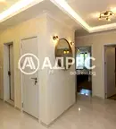 Тристаен апартамент в София, Дървеница