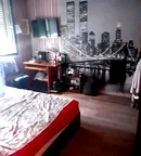 Тристаен апартамент в Плевен, Сторгозия