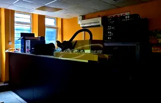 Заведение в Ловеч, Център