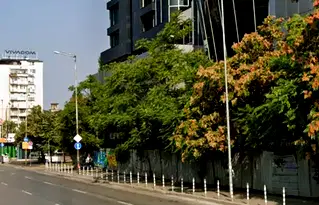Заведение в София, Зона Б-5
