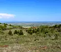 Снимка 3 — Парцел в Пловдив, с. Руен