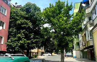 Едностаен апартамент във Варна, ХЕИ