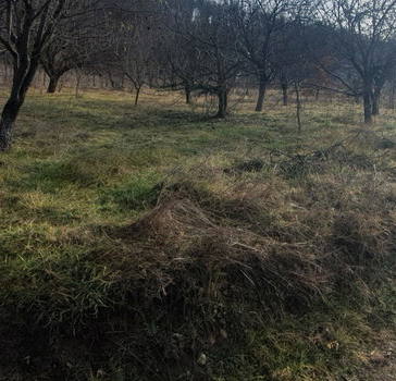 Снимка 4 — Парцел във Варна, Аксаково
