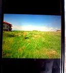 Парцел в Пловдив, Асенов