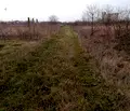 Снимка 5 — Парцел в Добрич, Балчик