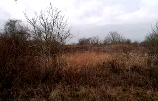 Парцел в Добрич, Балчик