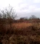 Парцел в Добрич, Балчик