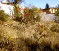 Снимка 2 — Парцел в Банкя