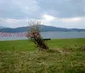 Снимка 5 — Парцел в Пазарджик, Батак