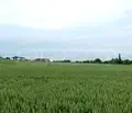 Снимка 4 — Парцел в Бургас, Крайморие