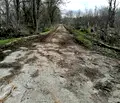 Снимка 5 — Парцел в Добрич, Добротица - Варненска