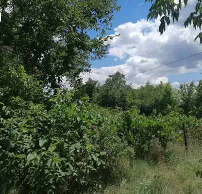 Снимка 3 — Парцел в Добрич, м-т Газибаба