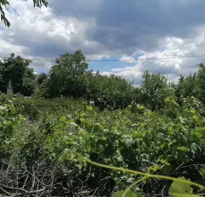 Снимка 5 — Парцел в Добрич, м-т Газибаба