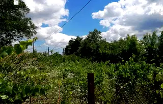 Парцел в Добрич, м-т Газибаба
