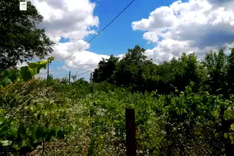 Парцел в Добрич, м-т Газибаба