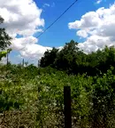 Парцел в Добрич, м-т Газибаба