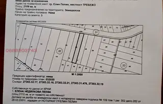 Парцел в София, Елин Пелин