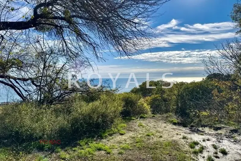 Plot in Zlatni Pyasyci