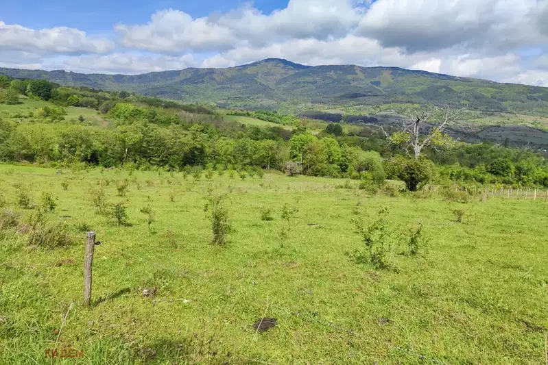 Plot in Kyustendil, Iztok
