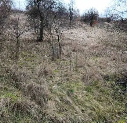 Photo 5 — Plot in Pernik, Bela Voda